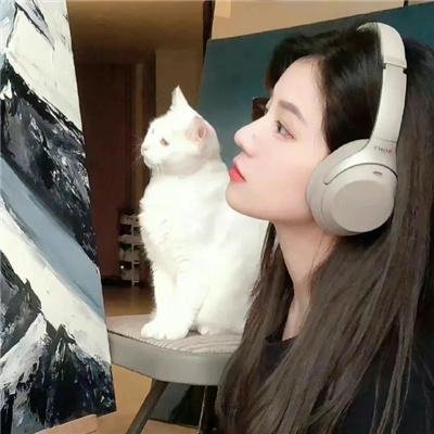 救森动物联盟
